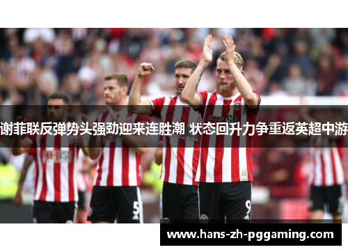 谢菲联反弹势头强劲迎来连胜潮 状态回升力争重返英超中游